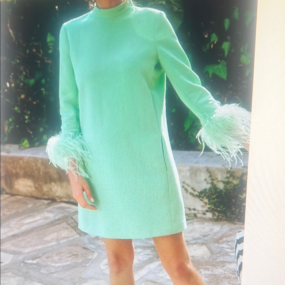 Tuckernuck Green Sheath Dress with Bishop Sleeves
